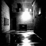 feel free to walk alone at night