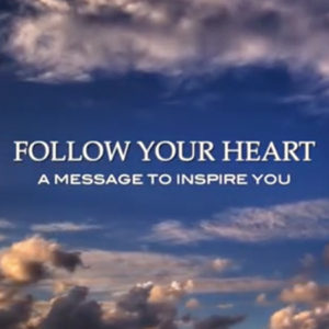 follow-heart